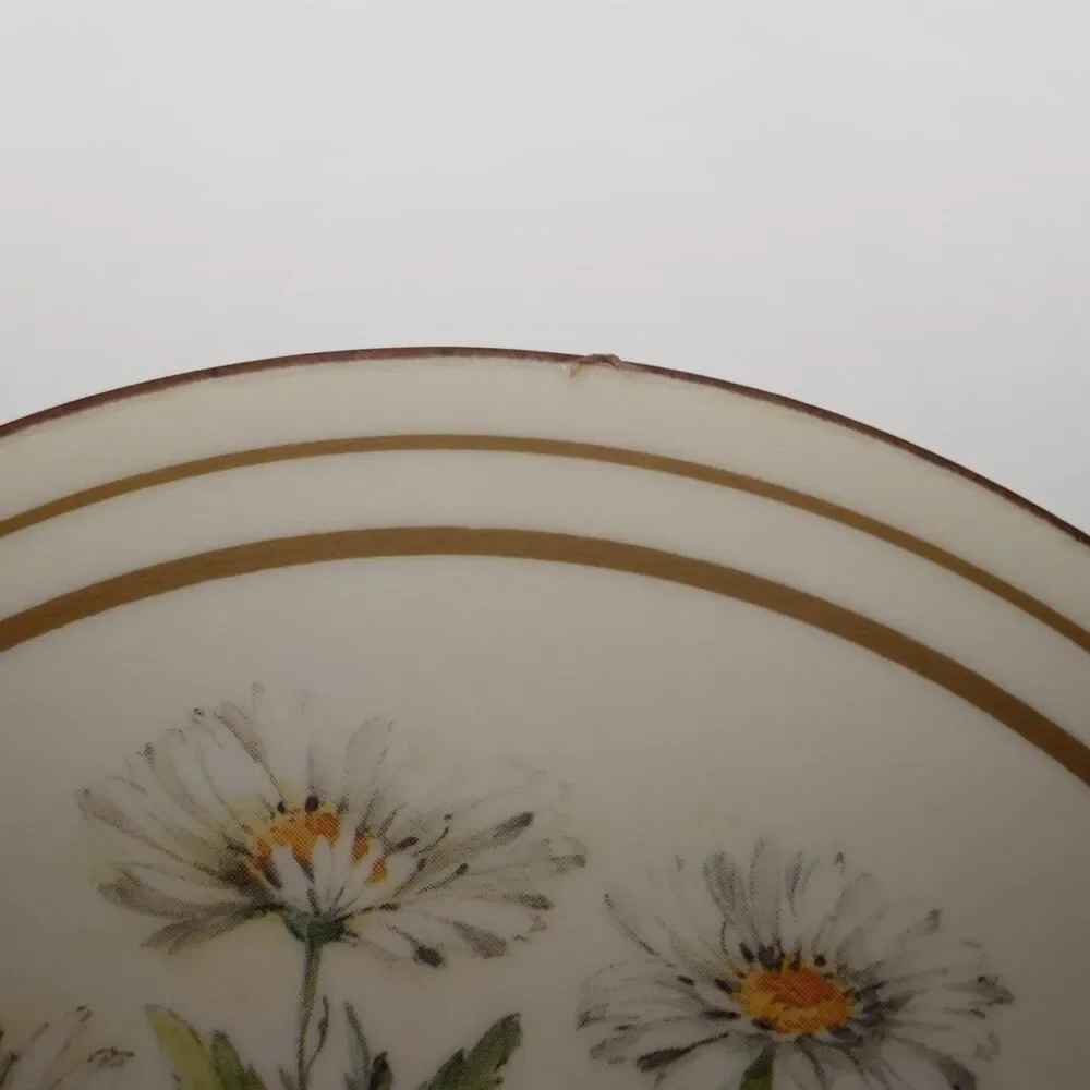 Vintage Pimpernel Marguerita Floral Coasters Set of 6 Cork Back Made in England